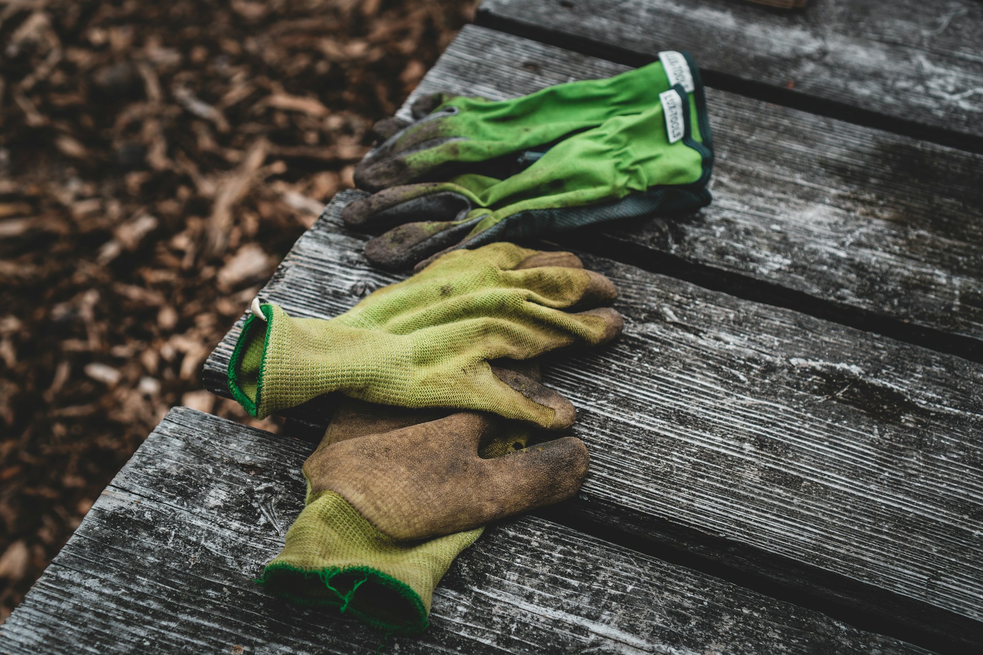 Landscapers