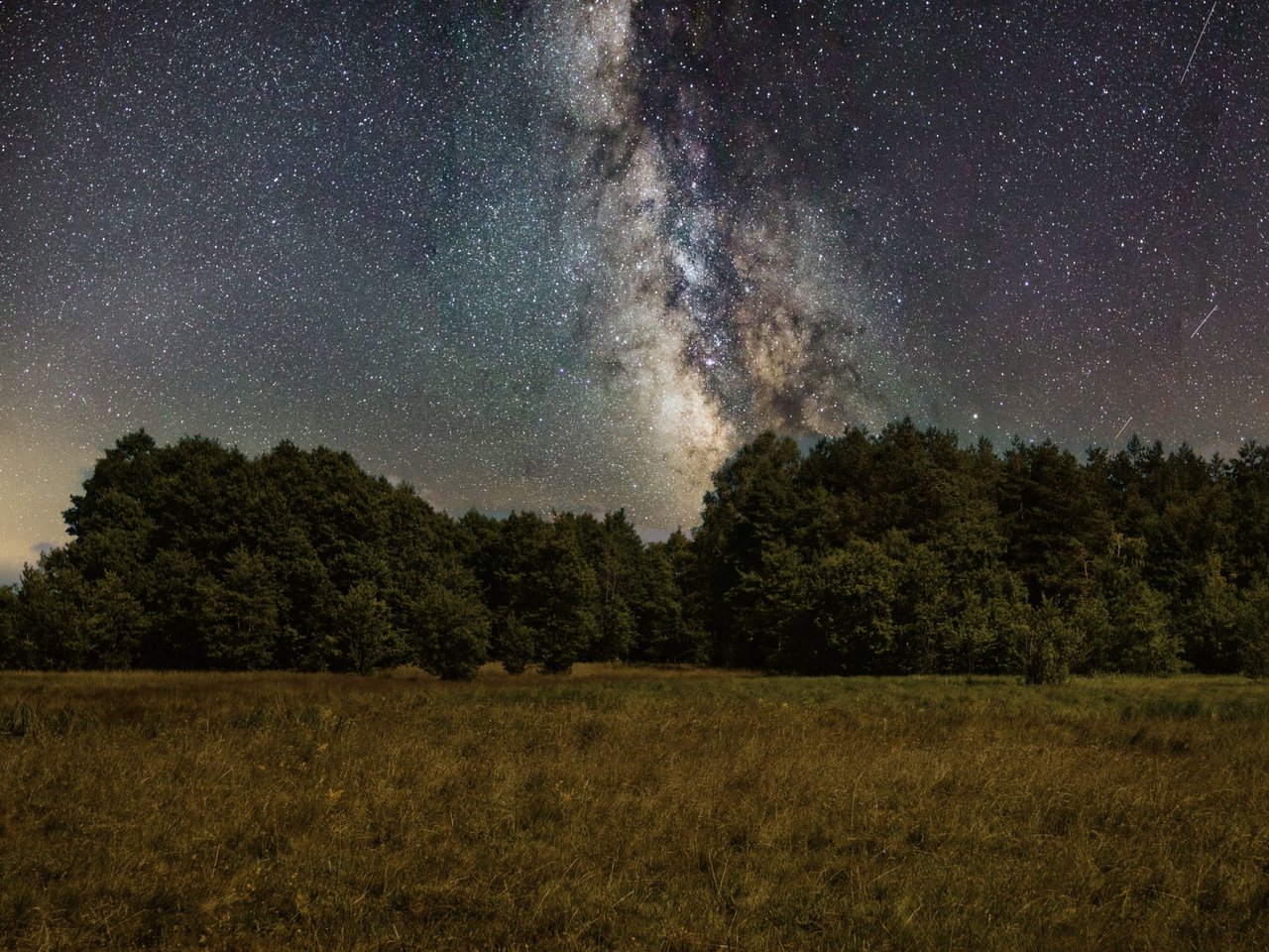 The Milky Way over a quiet meadow and forest at night.