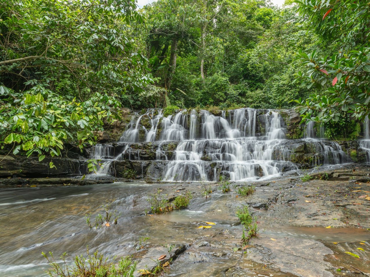 A waterfall in lush Costa Rican rainforest.