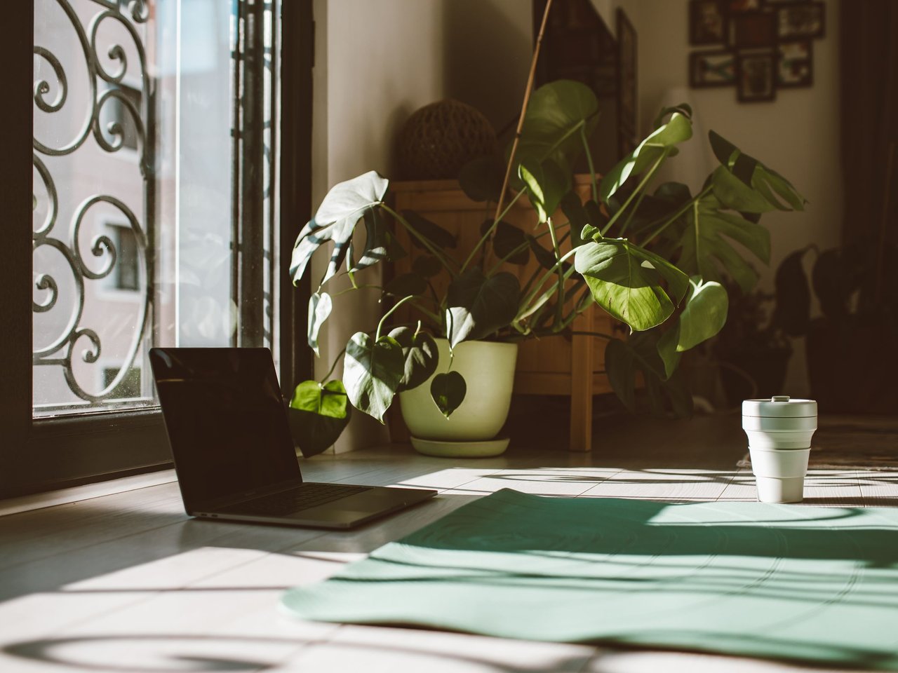 A yoga mat in a quiet, sunlit room with plants.