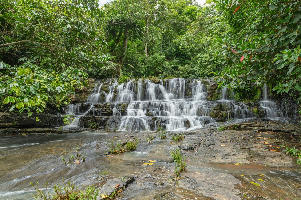 A waterfall in lush rainforest.