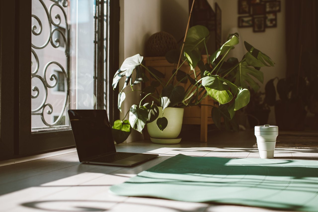 A yoga mat beside plants and a sunlit window.