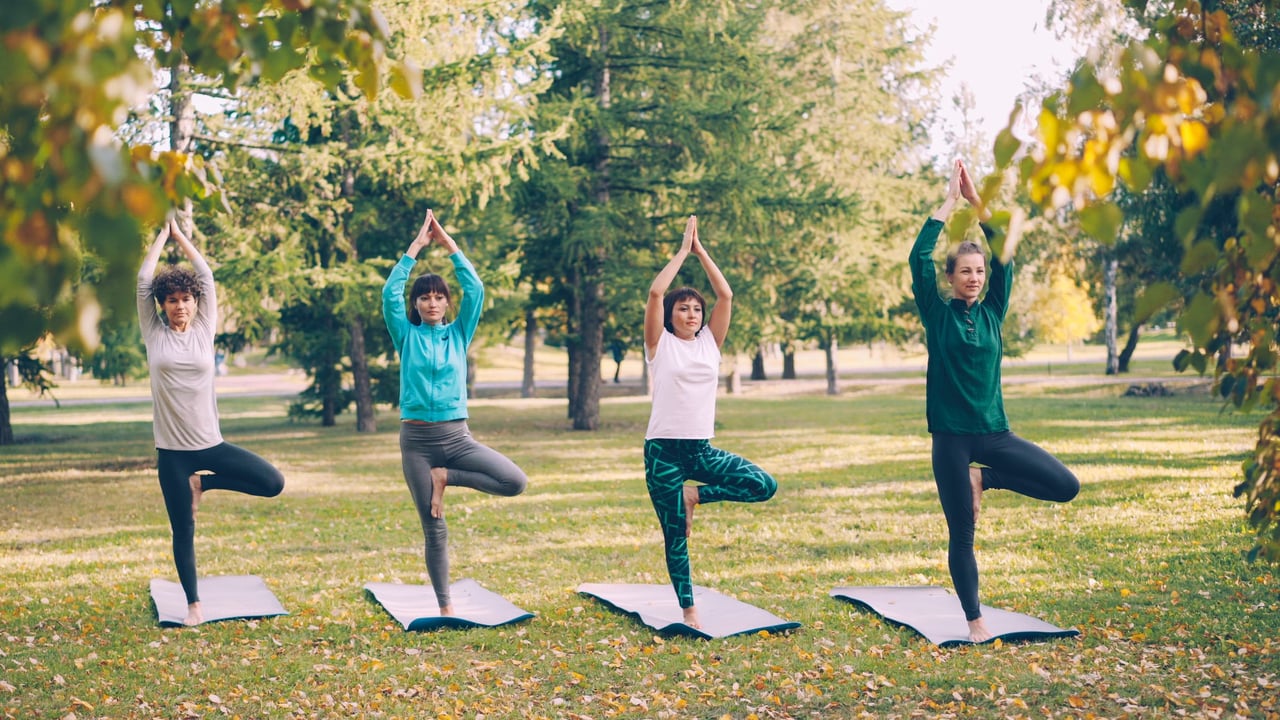 Four women practising yoga together in a park on a sunny autumn day.