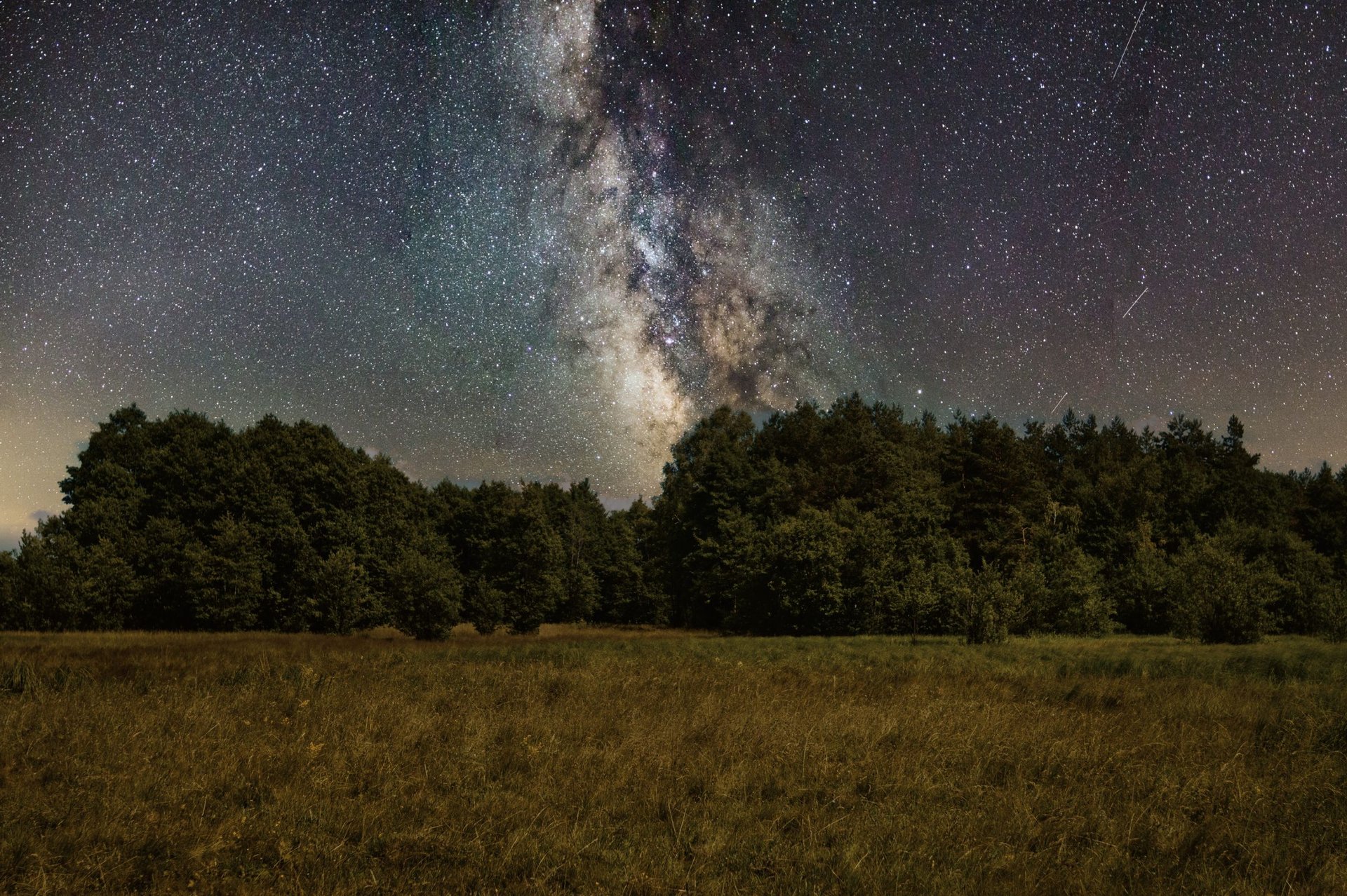 The Milky Way over a quiet meadow and forest at night.